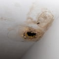 How to Fix Water Damage on Drywall: Tips and Techniques