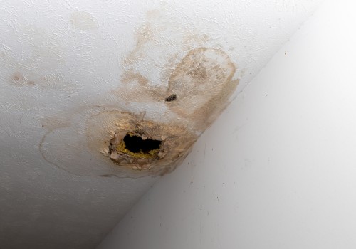 Preventing Future Water Damage: Tips for Drywall Repair